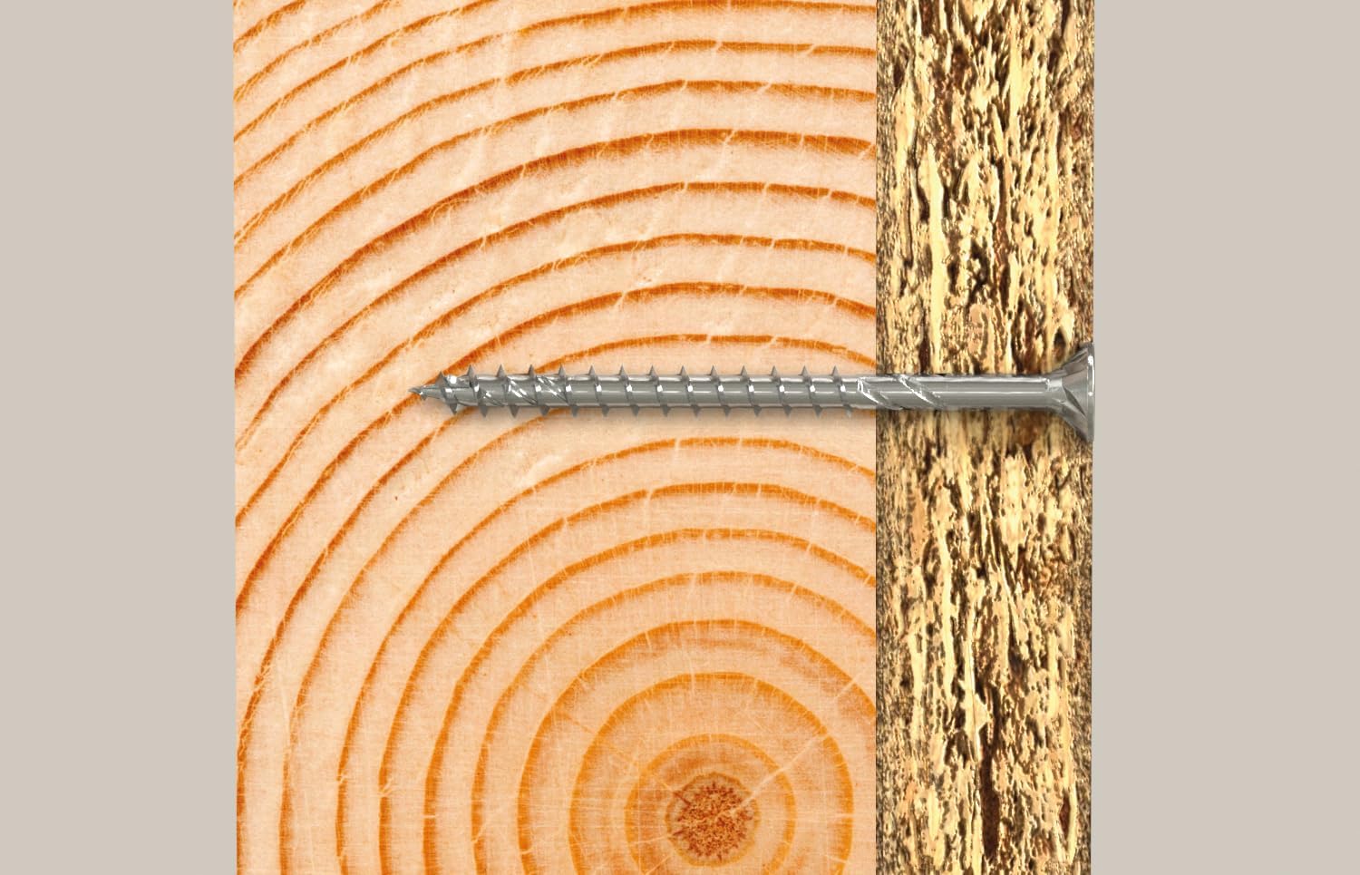 🔥 Angebote & Aktionen – fischer L-Boxx wood screw. – Bild 8
