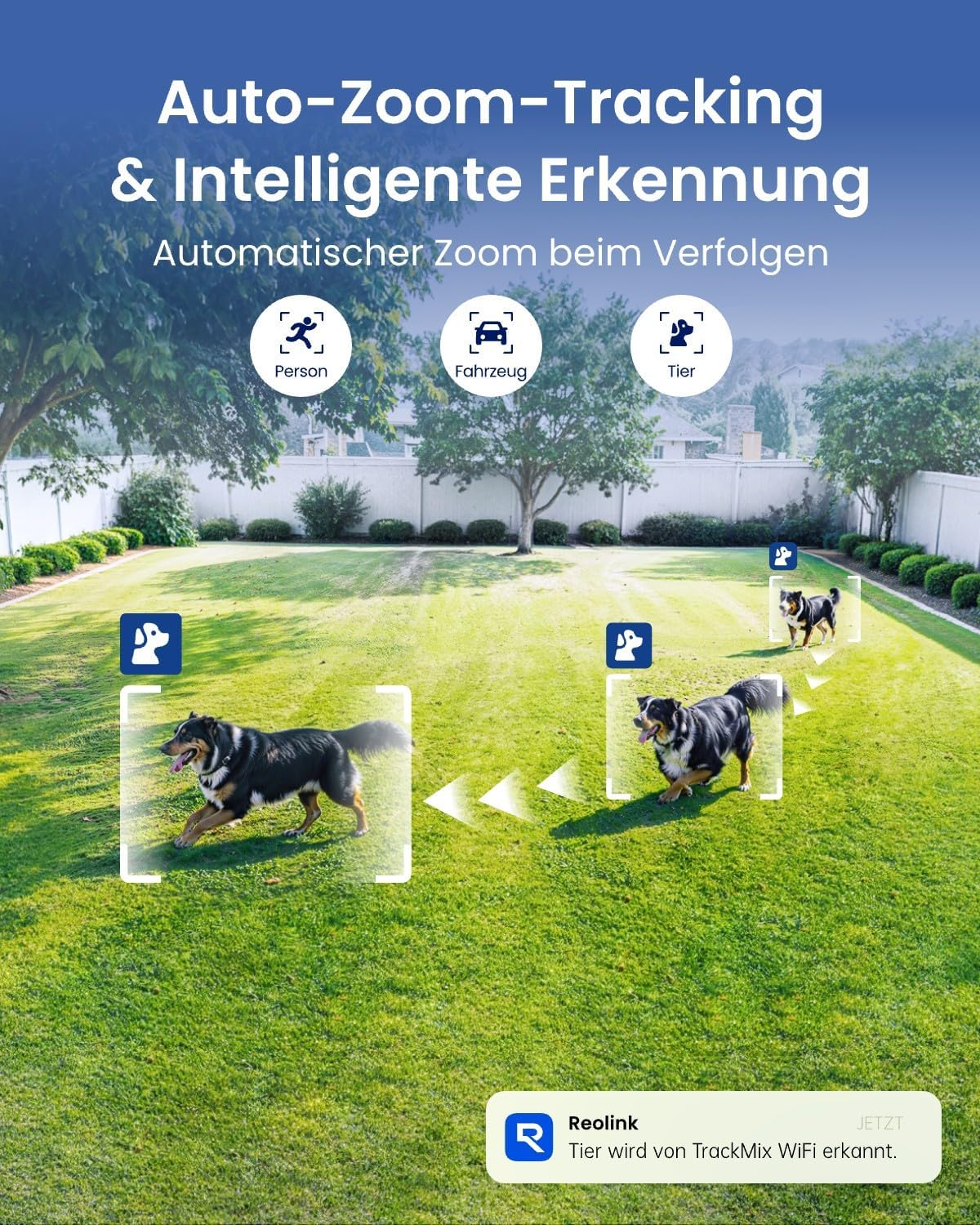 ⚡ Elektro & Technik – Reolink 4K 8MP Wi-Fi 6 PTZ Überwachungskamera für den Außenbereich mit Dual-Objektiv, Auto-Tracking-Zoom, WiFi-Kamera für den Außenbereich mit 3 intelligenten Erkennungsmodi, 30 m Farb-Nachtsicht, Außenkamera, Dual View, TrackMix WiFi – Bild 4