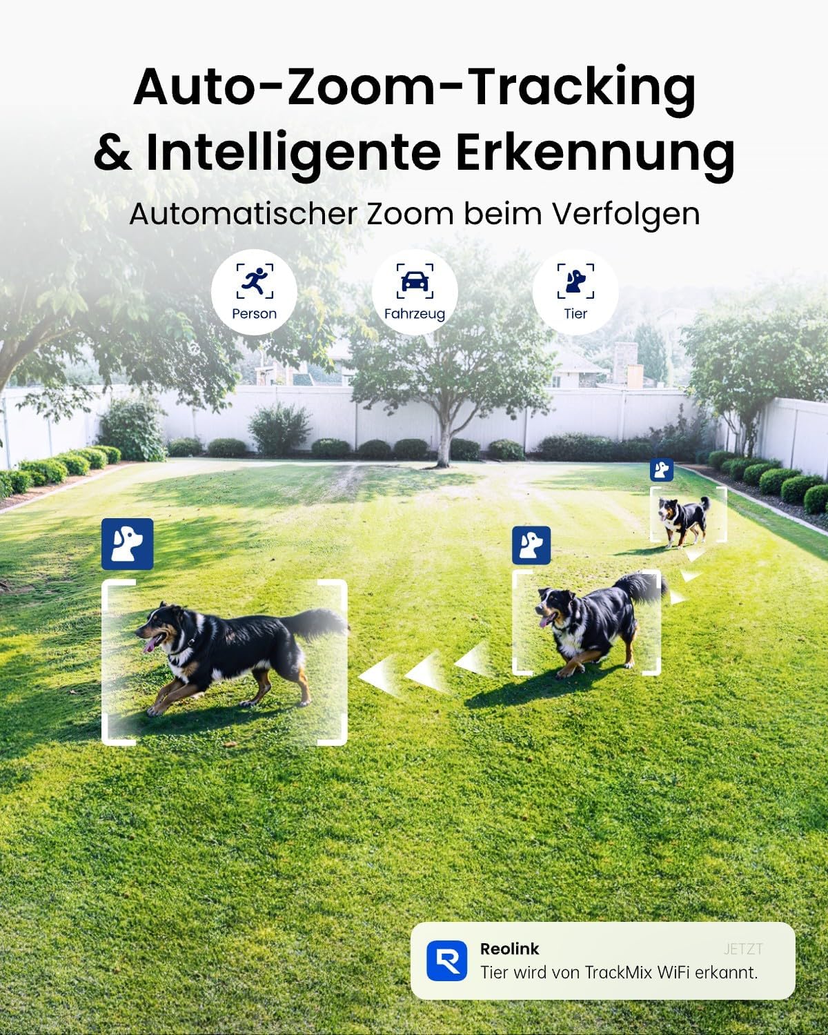 ⚡ Elektro & Technik – Reolink 4K 8MP Wi-Fi 6 PTZ Überwachungskamera für den Außenbereich WiFi mit Auto-Tracking-Zoom, Dual-Objektiv, Dual-Ansicht, WiFi-Kamera für den Außenbereich mit intelligenter Erkennung, Farbnachtsicht, Außenkamera, TrackMix WiFi – Bild 4